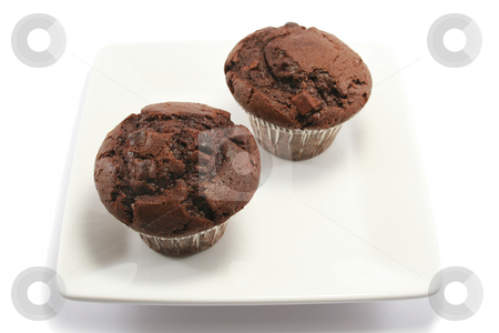 To use this stock image in your creative project, please select the size you need over to the right and click the "Add to Cart" button.
Your downloaded image will come with the Cutcaster watermark removed so don’t worry about the watermark you see on this page. Two Chocolate Muffins on a Plate stock photo, Two delicious chocolate chip muffins on a square china plate by Helen Shorey