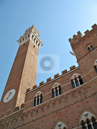 To use this stock image in your creative project, please select the size you need over to the right and click the "Add to Cart" button.
Your downloaded image will come with the Cutcaster watermark removed so don’t worry about the watermark you see on this page. Siena Torre Mangia stock photo, A view from Piazza del Campo of the Palazzo Comunale and Torre del Mangia, Siena, Tuscany, Italy by Roberto Marinello