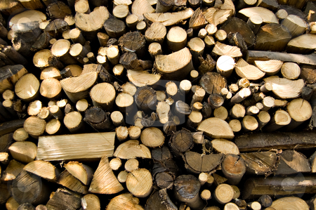 To use this stock image in your creative project, please select the size you need over to the right and click the "Add to Cart" button.
Your downloaded image will come with the Cutcaster watermark removed so don’t worry about the watermark you see on this page. Woodpile of chestnut stock photo, A woodpile of chestnut and beech for stoves by Roberto Marinello