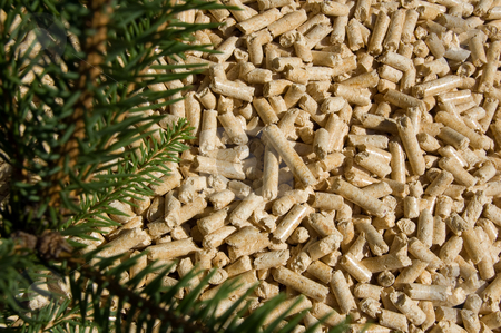 To use this stock image in your creative project, please select the size you need over to the right and click the "Add to Cart" button.
Your downloaded image will come with the Cutcaster watermark removed so don’t worry about the watermark you see on this page. Wood pellets and red deal stock photo, Wood pellets green energy and branches of red deal by Roberto Marinello