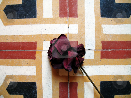 To use this stock image in your creative project, please select the size you need over to the right and click the "Add to Cart" button.
Your downloaded image will come with the Cutcaster watermark removed so don’t worry about the watermark you see on this page. Rose on old floor stock photo, A dry rose on the tiles of an ancient floor by Roberto Marinello