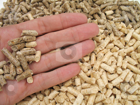 To use this stock image in your creative project, please select the size you need over to the right and click the "Add to Cart" button.
Your downloaded image will come with the Cutcaster watermark removed so don’t worry about the watermark you see on this page. Hand and bi-colour wood pellets stock photo, Hand's giving wood pellets for fireplaces and stoves by Roberto Marinello