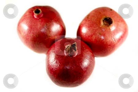 To use this stock image in your creative project, please select the size you need over to the right and click the "Add to Cart" button.
Your downloaded image will come with the Cutcaster watermark removed so don’t worry about the watermark you see on this page. Pomegranate stock photo, Red yummy juicy pomegranate on white background. by Henrik Lehnerer