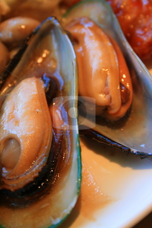 To use this stock image in your creative project, please select the size you need over to the right and click the "Add to Cart" button.
Your downloaded image will come with the Cutcaster watermark removed so don’t worry about the watermark you see on this page. Cooked Mussels stock photo, by Michael Felix