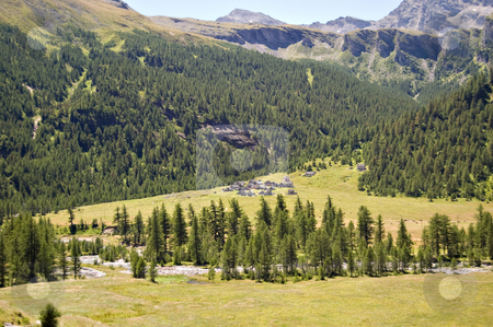 To use this stock image in your creative project, please select the size you need over to the right and click the "Add to Cart" button.
Your downloaded image will come with the Cutcaster watermark removed so don’t worry about the watermark you see on this page. Alpine natural park stock photo, Alpe Veglia italian natural park, Piemonte, Italy by Roberto Marinello