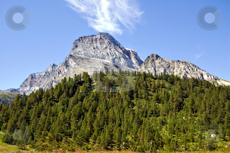 To use this stock image in your creative project, please select the size you need over to the right and click the "Add to Cart" button.
Your downloaded image will come with the Cutcaster watermark removed so don’t worry about the watermark you see on this page. Alpe Veglia and monte Leone stock photo, Alpe Veglia italian natural park and Monte Leone in background, Piemonte, Italy by Roberto Marinello