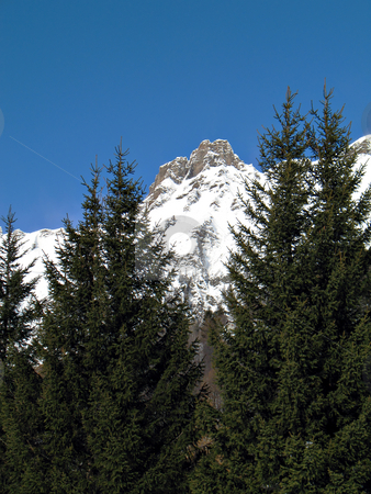 To use this stock image in your creative project, please select the size you need over to the right and click the "Add to Cart" button.
Your downloaded image will come with the Cutcaster watermark removed so don’t worry about the watermark you see on this page. Snowy summits and firs stock photo, Winter landscape with snowy rocks and green firs in val d'Ossola, Italy by Roberto Marinello