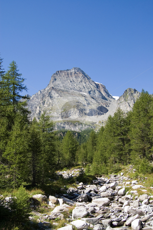 To use this stock image in your creative project, please select the size you need over to the right and click the "Add to Cart" button.
Your downloaded image will come with the Cutcaster watermark removed so don’t worry about the watermark you see on this page. Alpe Veglia and monte Leone stock photo, Alpe Veglia italian natural park and Monte Leone in background, Piemonte, Italy by Roberto Marinello