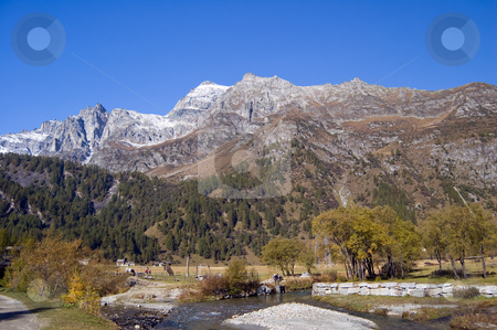 To use this stock image in your creative project, please select the size you need over to the right and click the "Add to Cart" button.
Your downloaded image will come with the Cutcaster watermark removed so don’t worry about the watermark you see on this page. Alpe Devero alpine landscape stock photo, Alpe Devero natural park in the Alps, Piemonte, Italy by Roberto Marinello