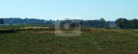 To use this stock image in your creative project, please select the size you need over to the right and click the "Add to Cart" button.
Your downloaded image will come with the Cutcaster watermark removed so don’t worry about the watermark you see on this page. Silhouette of Man and His Horse stock photo, Silhouette of a man on his chestnut horse along a pasture with grain silos and farmed countryside in the background. by Krystal McCammon