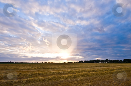 To use this stock image in your creative project, please select the size you need over to the right and click the "Add to Cart" button.
Your downloaded image will come with the Cutcaster watermark removed so don’t worry about the watermark you see on this page. Rural sunset stock photo, Fresh mowed farmland with a nice pastel sunset by Karin Claus