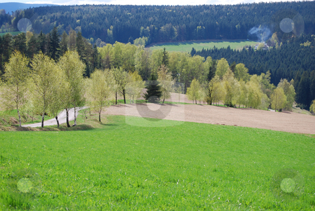 To use this stock image in your creative project, please select the size you need over to the right and click the "Add to Cart" button.
Your downloaded image will come with the Cutcaster watermark removed so don’t worry about the watermark you see on this page. Road in spring stock photo, A picture form czech republic by Sarka