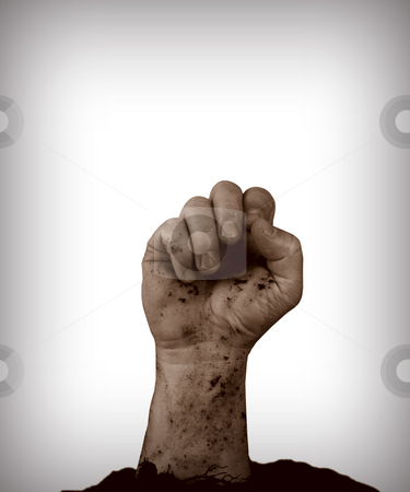 To use this stock image in your creative project, please select the size you need over to the right and click the "Add to Cart" button.
Your downloaded image will come with the Cutcaster watermark removed so don’t worry about the watermark you see on this page. Arm in Dirt stock photo, Arm coming out of dirt on white background by John Teeter