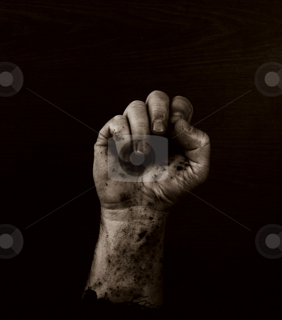 To use this stock image in your creative project, please select the size you need over to the right and click the "Add to Cart" button.
Your downloaded image will come with the Cutcaster watermark removed so don’t worry about the watermark you see on this page. Fist of Dirt stock photo, Fist in quadtone with grain antique grunge effect by John Teeter