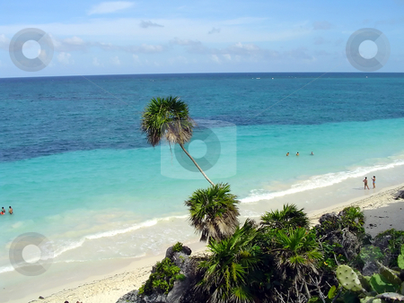 To use this stock image in your creative project, please select the size you need over to the right and click the "Add to Cart" button.
Your downloaded image will come with the Cutcaster watermark removed so don’t worry about the watermark you see on this page. Tulum beach stock photo, The beach of Tulum, yucatan, Mexico by Roberto Marinello