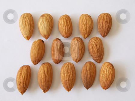 To use this stock image in your creative project, please select the size you need over to the right and click the "Add to Cart" button.
Your downloaded image will come with the Cutcaster watermark removed so don’t worry about the watermark you see on this page. Almond nuts. stock photo, Close-up of almond nuts, one of the five a day. used healthy and nuts. by Ian Langley