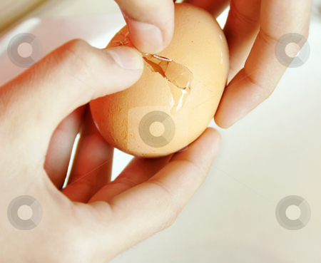 To use this stock image in your creative project, please select the size you need over to the right and click the "Add to Cart" button.
Your downloaded image will come with the Cutcaster watermark removed so don’t worry about the watermark you see on this page. Egg breaking stock photo, Hands opening broken eggshell of brown raw egg by Julija Sapic