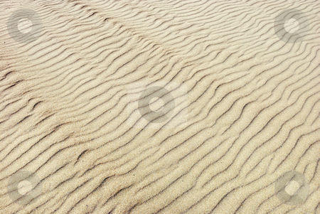 To use this stock image in your creative project, please select the size you need over to the right and click the "Add to Cart" button.
Your downloaded image will come with the Cutcaster watermark removed so don’t worry about the watermark you see on this page. Sand Ripples stock photo, Ripples in the sand on a sunny day. by Denis Radovanovic