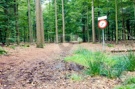 To use this stock image in your creative project, please select the size you need over to the right and click the "Add to Cart" button.
Your downloaded image will come with the Cutcaster watermark removed so don’t worry about the watermark you see on this page. No Cell phone area stock photo, A sign in the woods near a radio telescope, forbidding the use of cell phones, mobile phones and other transmitting equipment. by Corepics VOF