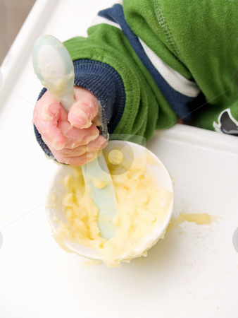 To use this stock image in your creative project, please select the size you need over to the right and click the "Add to Cart" button.
Your downloaded image will come with the Cutcaster watermark removed so don’t worry about the watermark you see on this page. Caucasian baby's hand using spoon to eat stock photo, Caucasian baby's hand using spoon to eat mash potato by Phillip Dyhr Hobbs