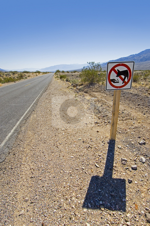 To use this stock image in your creative project, please select the size you need over to the right and click the "Add to Cart" button.
Your downloaded image will come with the Cutcaster watermark removed so don’t worry about the watermark you see on this page. Death Valley road sign stock photo, Landscapes of Death Valley National Park, a warning sign not to feed the coyotes. by Corepics VOF