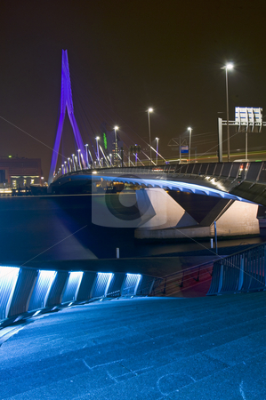 To use this stock image in your creative project, please select the size you need over to the right and click the "Add to Cart" button.
Your downloaded image will come with the Cutcaster watermark removed so don’t worry about the watermark you see on this page. The Erasmus Bridge at Night stock photo, The famous Erasmus Bridge, seen from the boardwalk, next to the river front. by Corepics VOF