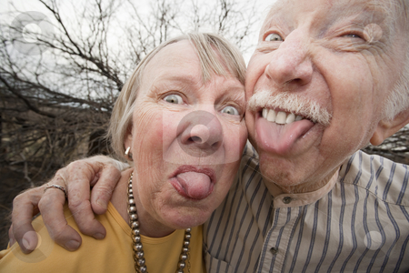 To use this stock image in your creative project, please select the size you need over to the right and click the "Add to Cart" button.
Your downloaded image will come with the Cutcaster watermark removed so don’t worry about the watermark you see on this page. Crazy Couple Sticking Out Tongues stock photo, Closeup portrait of crazy elderly couple outdoors sticking out tongues by Scott Griessel
