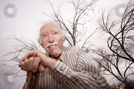 To use this stock image in your creative project, please select the size you need over to the right and click the "Add to Cart" button.
Your downloaded image will come with the Cutcaster watermark removed so don’t worry about the watermark you see on this page. Old man in front of bare trees stock photo, Crazy old man leaning on cane in front of trees by Scott Griessel