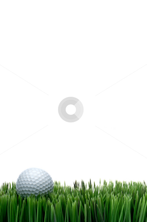To use this stock image in your creative project, please select the size you need over to the right and click the "Add to Cart" button.
Your downloaded image will come with the Cutcaster watermark removed so don’t worry about the watermark you see on this page. Vertical image of a white golf ball in green grass on a white ba stock photo, Vertical image of a white golf ball in green grass on a white background with space for copy by Vince Clements