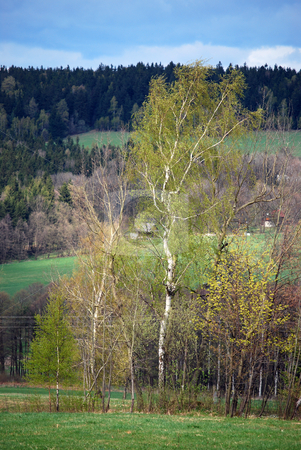 To use this stock image in your creative project, please select the size you need over to the right and click the "Add to Cart" button.
Your downloaded image will come with the Cutcaster watermark removed so don’t worry about the watermark you see on this page. Landscape stock photo, Picture of landscape in spring by Sarka