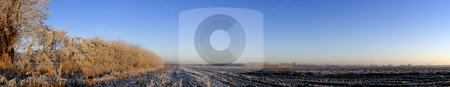 To use this stock image in your creative project, please select the size you need over to the right and click the "Add to Cart" button.
Your downloaded image will come with the Cutcaster watermark removed so don’t worry about the watermark you see on this page. Winter Orchard stock photo, A typical Dutch Polder landscape in wintertime, with an orchard, covered in hoarfrost, and the neatly plowed land on a cold winter morning by Corepics VOF