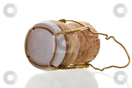 To use this stock image in your creative project, please select the size you need over to the right and click the "Add to Cart" button.
Your downloaded image will come with the Cutcaster watermark removed so don’t worry about the watermark you see on this page. Champagne cork stock photo, Macro shot of a champagne cork by Steve Mcsweeny