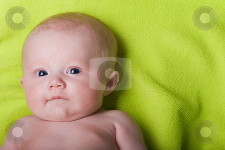 To use this stock image in your creative project, please select the size you need over to the right and click the "Add to Cart" button.
Your downloaded image will come with the Cutcaster watermark removed so don’t worry about the watermark you see on this page. Newborn blue eyes stock photo, Newborn baby on a green towel by Steve Mcsweeny