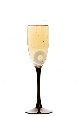 To use this stock image in your creative project, please select the size you need over to the right and click the "Add to Cart" button.
Your downloaded image will come with the Cutcaster watermark removed so don’t worry about the watermark you see on this page. Champagne drink stock photo, Champagne glass isolated on white by Steve Mcsweeny