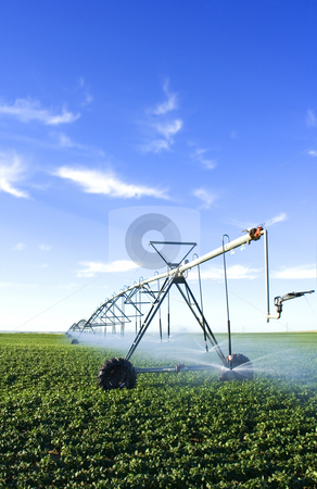 To use this stock image in your creative project, please select the size you need over to the right and click the "Add to Cart" button.
Your downloaded image will come with the Cutcaster watermark removed so don’t worry about the watermark you see on this page. Pivot spray stock photo, Modern farming tool by Steve Mcsweeny