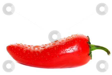 To use this stock image in your creative project, please select the size you need over to the right and click the "Add to Cart" button.
Your downloaded image will come with the Cutcaster watermark removed so don’t worry about the watermark you see on this page. Hot jalapenos stock photo, A red hot jalapenos chili pepper with dew drops by Steve Mcsweeny