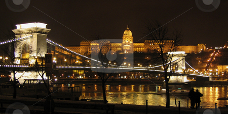 To use this stock image in your creative project, please select the size you need over to the right and click the "Add to Cart" button.
Your downloaded image will come with the Cutcaster watermark removed so don’t worry about the watermark you see on this page. Budapest Chain Bridge and royal palace stock photo, Budapest Chain Bridge and royal palace at night by Alessandro Rizzolli