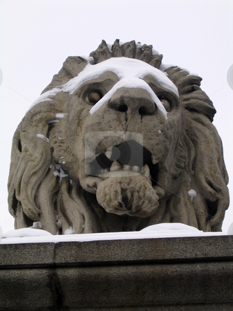 To use this stock image in your creative project, please select the size you need over to the right and click the "Add to Cart" button.
Your downloaded image will come with the Cutcaster watermark removed so don’t worry about the watermark you see on this page. Lion Statue on Chains Bridge stock photo, A particular of a lion statue on the Chains Bridge in Budapest by Alessandro Rizzolli