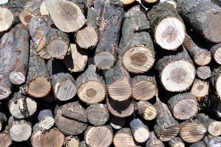 To use this stock image in your creative project, please select the size you need over to the right and click the "Add to Cart" button.
Your downloaded image will come with the Cutcaster watermark removed so don’t worry about the watermark you see on this page. Stack of firewood stock photo, Stack of wood, heat for the winter season by Fernando Barozza