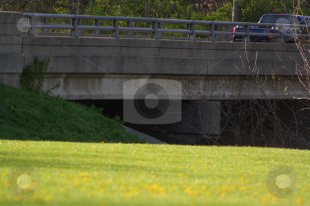 To use this stock image in your creative project, please select the size you need over to the right and click the "Add to Cart" button.
Your downloaded image will come with the Cutcaster watermark removed so don’t worry about the watermark you see on this page. Bridge stock photo, A bridge over a stream by Chris Torres