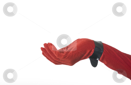 To use this stock image in your creative project, please select the size you need over to the right and click the "Add to Cart" button.
Your downloaded image will come with the Cutcaster watermark removed so don’t worry about the watermark you see on this page. Red Velvet Hand holding nothing stock photo, Red velvet glove with black buckle at wrist. Graceful, feminine, hand ready to hold your product. Christmas theme with room for copy on white background. by Brenda Carson