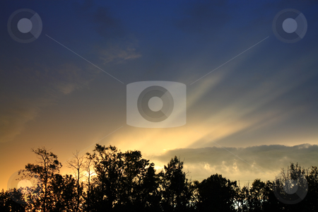 To use this stock image in your creative project, please select the size you need over to the right and click the "Add to Cart" button.
Your downloaded image will come with the Cutcaster watermark removed so don’t worry about the watermark you see on this page. Northern Sunset stock photo, The last rays of light beam over the tops of the trees, as storm clouds pass above, during a northern Saskatchewan sunset. by Brenda Carson