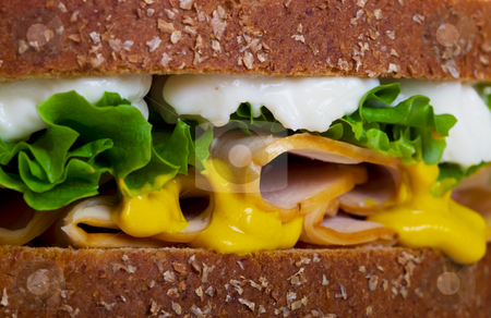 To use this stock image in your creative project, please select the size you need over to the right and click the "Add to Cart" button.
Your downloaded image will come with the Cutcaster watermark removed so don’t worry about the watermark you see on this page. Chicken Sandwich Macro stock photo, A moist chicken sandwich on whole wheat, multi-grain bread. Macro with shallow DOF. by Brenda Carson