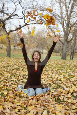 To use this stock image in your creative project, please select the size you need over to the right and click the "Add to Cart" button.
Your downloaded image will come with the Cutcaster watermark removed so don’t worry about the watermark you see on this page. Playing in the Leaves stock photo, Girl playing in the leaves and throwing them in the air. by Brenda Carson