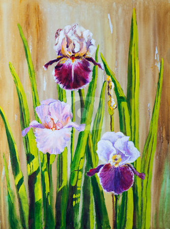 To use this stock image in your creative project, please select the size you need over to the right and click the "Add to Cart" button.
Your downloaded image will come with the Cutcaster watermark removed so don’t worry about the watermark you see on this page. Irises stock photo, Irises: An original work of art with acrylics on canvas. by Brenda Carson
