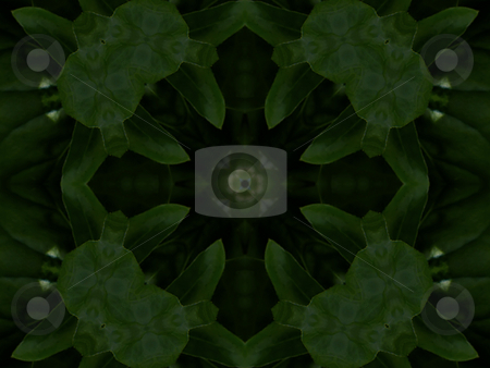 To use this stock image in your creative project, please select the size you need over to the right and click the "Add to Cart" button.
Your downloaded image will come with the Cutcaster watermark removed so don’t worry about the watermark you see on this page. Garden Greens - Background Pattern stock photo, Background Pattern by Dazz Lee Photography
