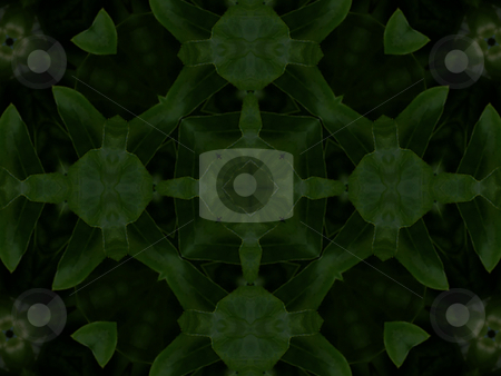 To use this stock image in your creative project, please select the size you need over to the right and click the "Add to Cart" button.
Your downloaded image will come with the Cutcaster watermark removed so don’t worry about the watermark you see on this page. Garden Greens - Background Pattern stock photo, Background Pattern by Dazz Lee Photography