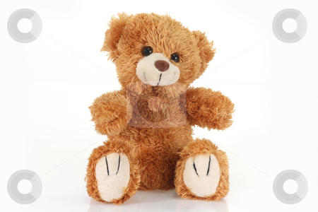 To use this stock image in your creative project, please select the size you need over to the right and click the "Add to Cart" button.
Your downloaded image will come with the Cutcaster watermark removed so don’t worry about the watermark you see on this page. Teddy bear stock photo, Cute teddy bear on bright background by Birgit Reitz-Hofmann