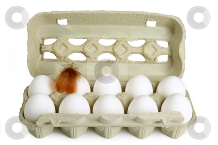 To use this stock image in your creative project, please select the size you need over to the right and click the "Add to Cart" button.
Your downloaded image will come with the Cutcaster watermark removed so don’t worry about the watermark you see on this page. Fresh Eggs stock photo, Eggs in a box on bright background by Birgit Reitz-Hofmann