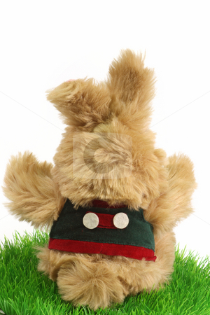 To use this stock image in your creative project, please select the size you need over to the right and click the "Add to Cart" button.
Your downloaded image will come with the Cutcaster watermark removed so don’t worry about the watermark you see on this page. Cute Easter Bunny stock photo, Cute Easter Bunny on white background by Birgit Reitz-Hofmann